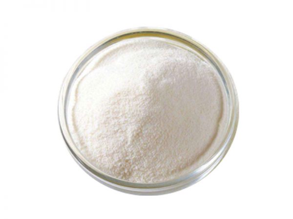 Stachyose powder