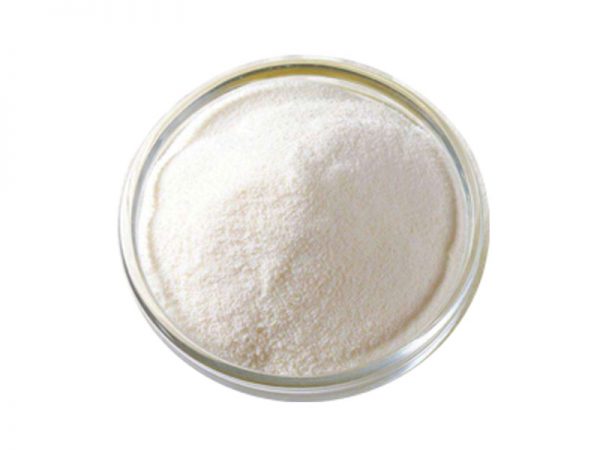 Poudre de stachyose
