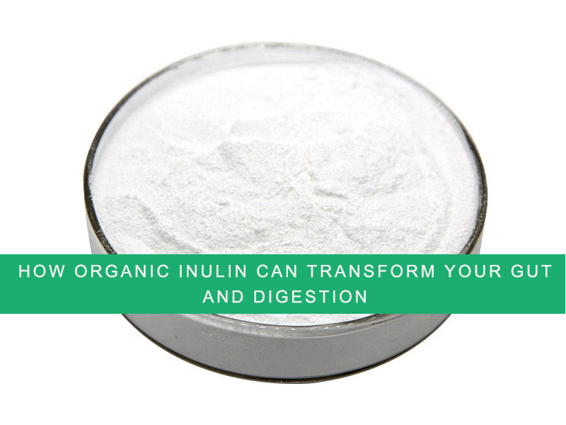 How Organic Inulin Can Transform Your Gut and Digestion