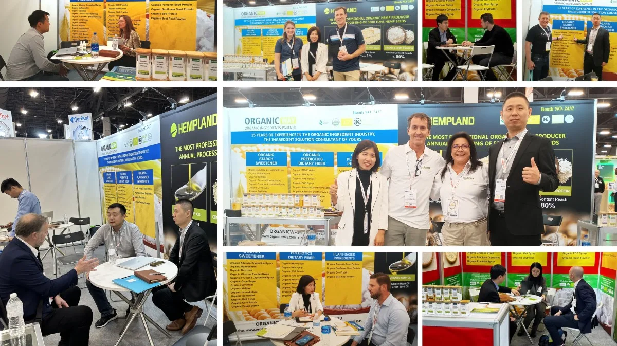 Exhibitions 1 D